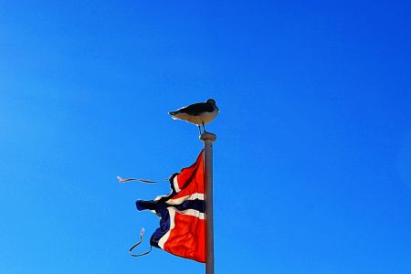 IMG_0822.JPG